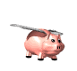 Flying pig image